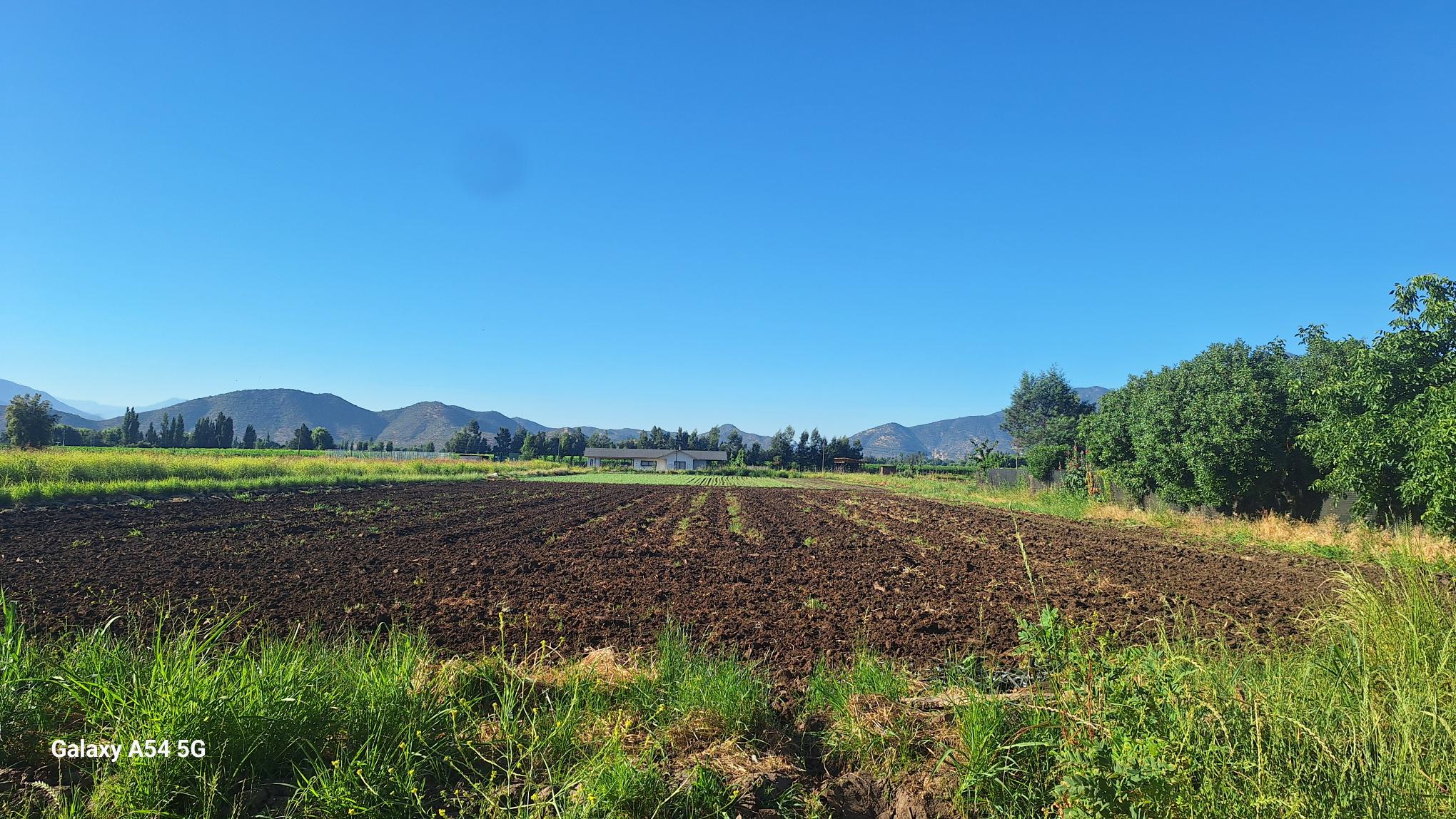 PARCELA AGRICOLA TERRENO PLANO
